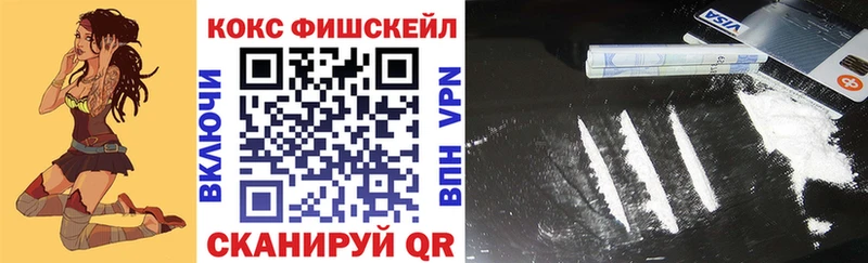 КОКАИН Fish Scale  Купить  Светлогорск 
