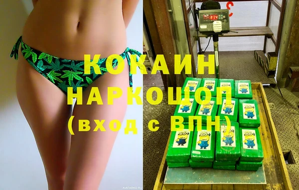 стаф Арсеньев