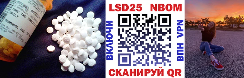 LSD-25 экстази ecstasy  Купить где  Светлогорск 