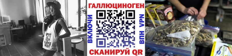 Купить закладки  Светлогорск  Галлюциногенные грибы ЛСД 